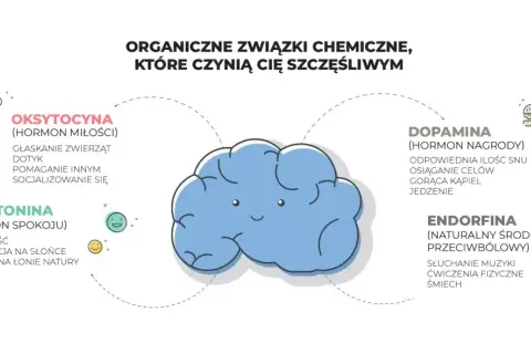 Dopamina, hormon nagrody, uwalnia się przy osiąganiu celów, jedzeniu i innych przyjemnościach. Schemat pokazuje też oksytocynę, serotoninę i endorfiny.