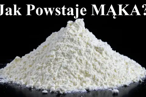Tajemnice młyna: Jak powstaje mąka? Cały proces produkcji