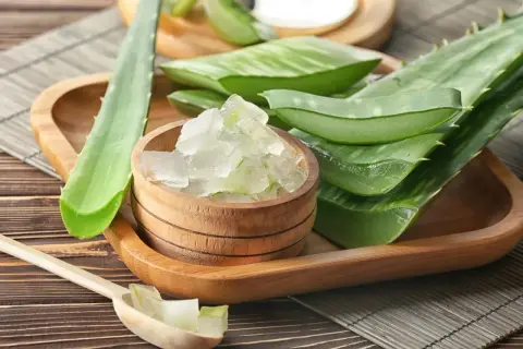 Frische Aloe Vera Blätter und gewürfeltes Aloe Vera Gel 100 Prozent in einer Holzschale.