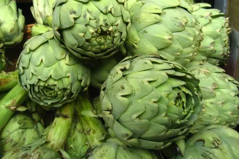 Un montón de alcachofas verdes, con sus escamas apretadas, parecen un pelo alcachofa natural.