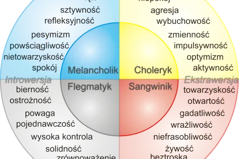Jakie są 4 typy osobowości i jak wpływają na nasze życie?