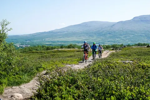 Tre cyklister på stig nära Blåhammaren Storulvån, med fjäll i bakgrunden.