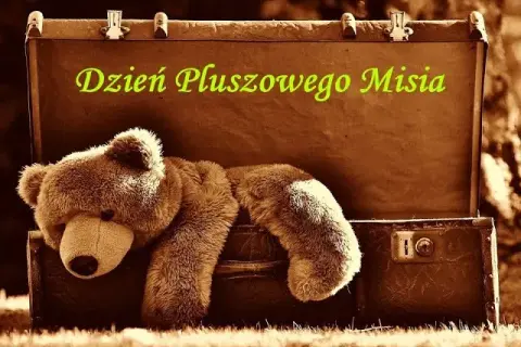 Dzień Pluszowego Misia (25.11): Poznaj historię i kreatywne obchody