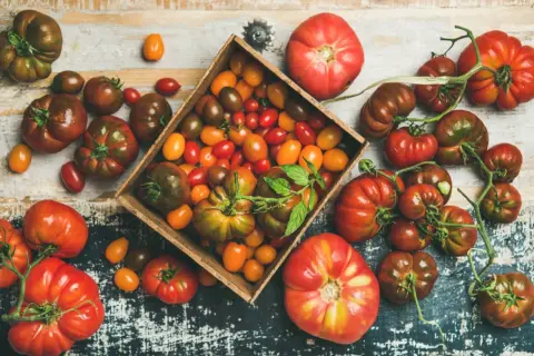 Varietà di pomodori, dai grandi ai ciliegino, in una cassetta e sparsi. Chi dice che i pomodori fanno ingrassare?