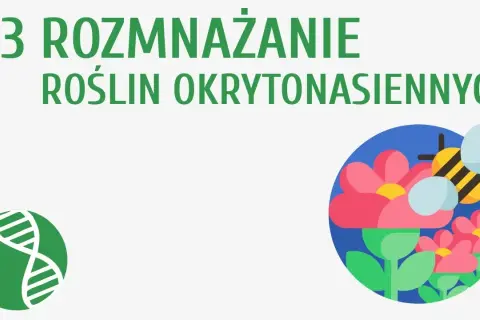 Jak rozmnażają się rośliny nasienne - zaskakujące procesy i różnice