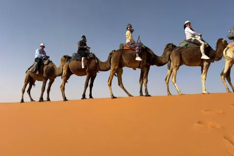 Kameltur i öknen nära Fez stad. Fyra personer rider på kameler över sanddynerna under en klarblå himmel.