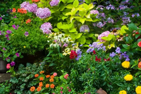 Las mejores flores que plantar en septiembre para un jardín hermoso