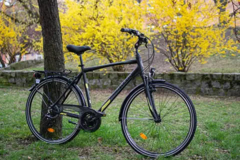 Czarny rower trekkingowy, idealny wybór jaki rower trekkingowy do 3000 zł, stoi przy drzewie na tle kwitnących żółtych krzewów.