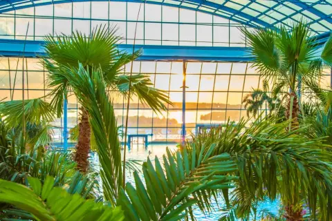Weekend pod Warszawą? Odkryj niezwykłe atrakcje Mazowsza!