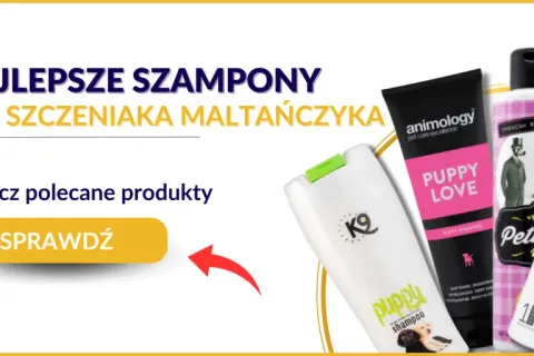 Szampon dla szczeniaka: Sekrety bezpiecznej pielęgnacji malucha