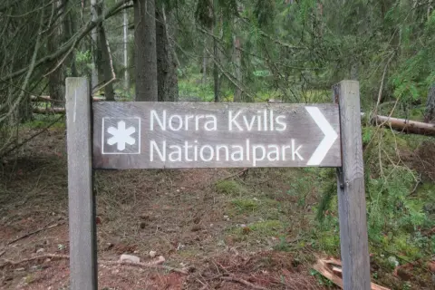 Skylt visar vägen till Norra Kvills Nationalpark genom en tät skog.