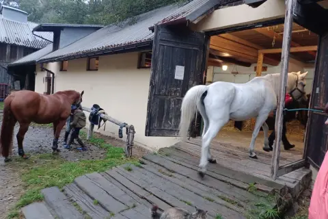 Stadnina koni Stary Młyn - najlepsze miejsce na jazdę konną w Polsce