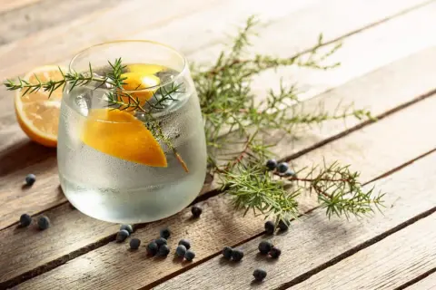 Erfrischendes Getränk mit Zitrone und Wacholder. Auch in der Schwangerschaft kann man sich mit einem alkoholfreien Tonic Water erfrischen.