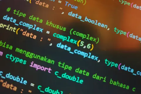 Code Python affichant des types de données complexes. On y voit des exemples de `complex(5,6)` et l'importation de `c_double` pour obtenir la taille de fichier.