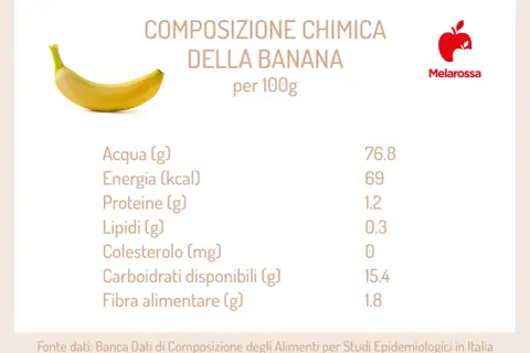 Composizione chimica della banana per 100g: 69 kcal. La banana è un frutto ricco di carboidrati e acqua.