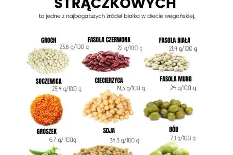 Białko roślinne gdzie najwięcej – odkryj najlepsze źródła białka
