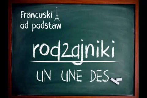Rodzajniki określone i nieokreślone francuski - kluczowe różnice i zasady