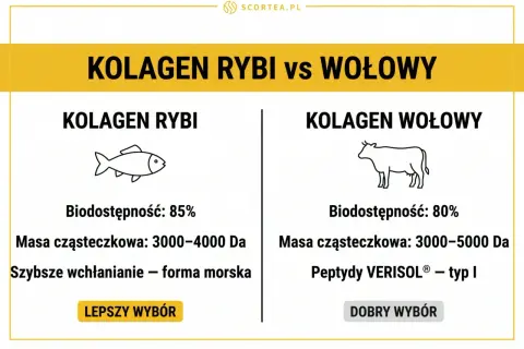Porównanie kolagenu rybiego i wołowego. Kolagen rybi ma wyższą biodostępność (85%) i szybsze wchłanianie, co czyni go lepszym wyborem.