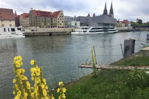 Schiff auf der Donau vor Regensburgs Highlights: historische Gebäude, Domtürme und blühende Wiesen.