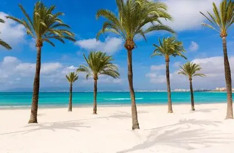 El Arenal atrakcje, które zaskoczą każdego turystę w Mallorca