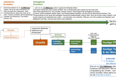 Schema der Evolution: Von Elementarteilchen über Moleküle und Urzellen zur biologischen Evolution mit Pflanzen, Tieren und dem Menschen.