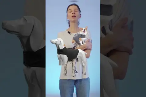 Kamizelka antystresowa dla psa DIY: zrób ją sam w 5 minut!
