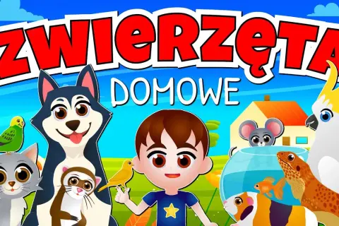 Jak dbać o zwierzęta domowe - edukacyjny film pełen cennych wskazówek