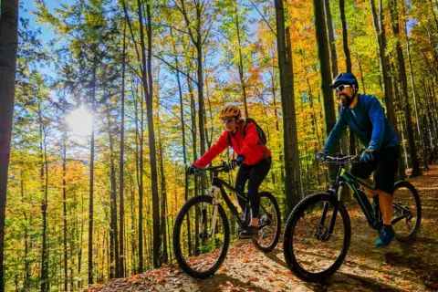 Para rowerzystów cieszy jesienne słońce na mikołajki trasach rowerowych w lesie.