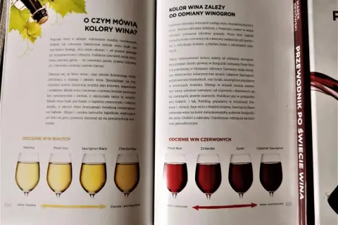 Kolor jak wino: odkryj tajemnice odcieni i ich znaczenie