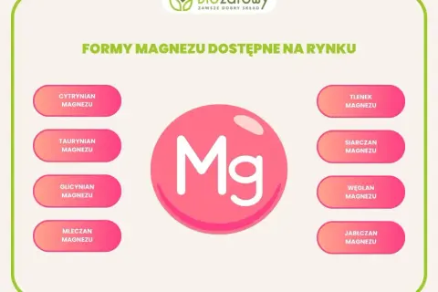Różne formy magnezu dostępne na rynku, w tym glicynian magnezu, w formie suplementów.