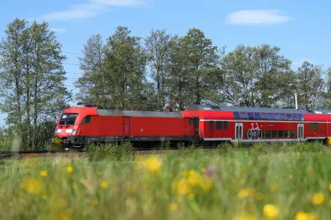 Roter Doppelstockzug mit Fahrradsymbol fährt auf der Strecke Berlin-Stettin durch blühende Wiesen und Bäume.