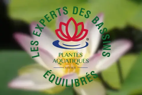 Logo "Les Experts des Bassins" avec une fleur de lotus et le texte "Plantes Aquatiques Équilibrées", évoquant l'aquaculture plante.
