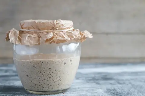 Zakwas i inna mąka? Tak! Zmień dietę startera bez obaw
