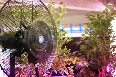Ventola per grow box che muove l'aria tra le foglie verdi di una pianta, creando un ambiente ideale per la crescita.