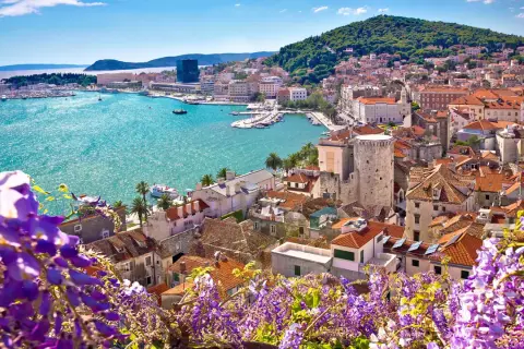 Widok na Split, Chorwacja, gdzie jechać na wakacje. Widać turkusowe morze, port z łodziami i zabytkowe miasto z fioletowymi kwiatami w tle.