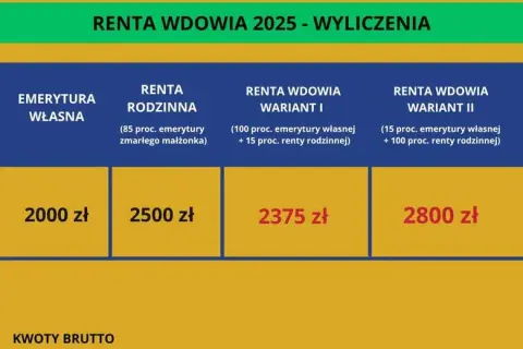 Ile wynosi renta po mężu? Sprawdź, jak obliczyć wysokość świadczenia