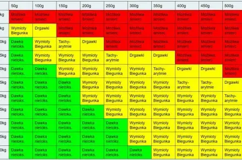 Zatrucie czekoladą u psa: Objawy, pierwsza pomoc, zapobieganie