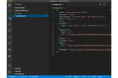 Configuration du projet pour créer un projet Node.js avec Express. Le fichier `package.json` liste les dépendances et scripts.