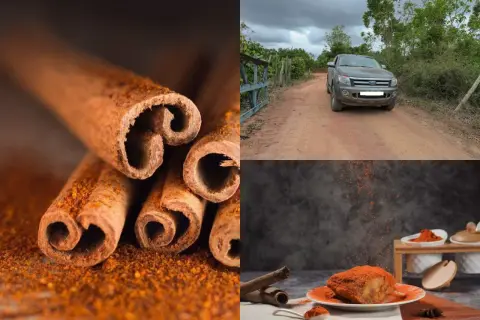 Bâtonnets de cannelle et poudre orange vif. Un véhicule sur une route de terre. Un plat de poulet épicé, par quoi remplacer la cannelle ?