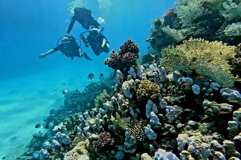Marsa Alam: Podwodny raj i pustynne przygody. Planuj wakacje!