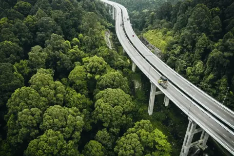 Droga wijąca się przez gęsty las, z ciężarówką symbolizującą pkd transport drogowy.