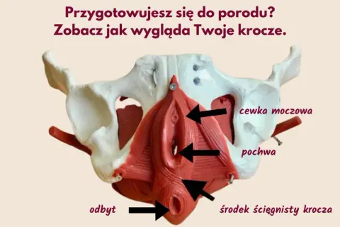 Masaż krocza przed porodem: Jak uniknąć nacięcia i pęknięć?