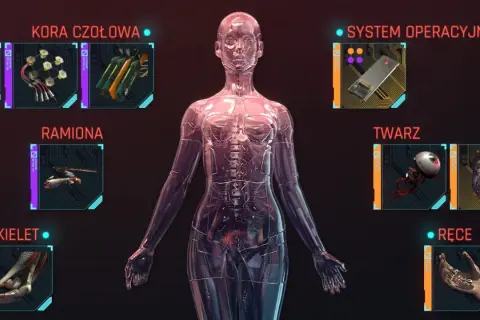 Przezroczysta, mechaniczna dziewczyna cyberpunk z widocznymi częściami: kora czołowa, ramiona, szkielet, twarz i ręce.