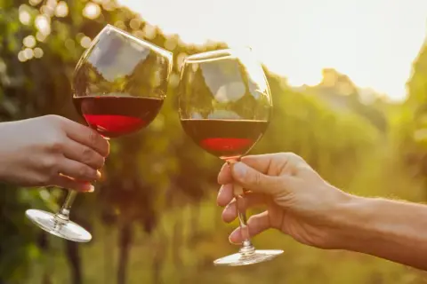Dwie ręce wznoszą kieliszki z czerwonym winem, celebrując smak Cannonau di Sardegna wśród winorośli w złotym świetle zachodzącego słońca.