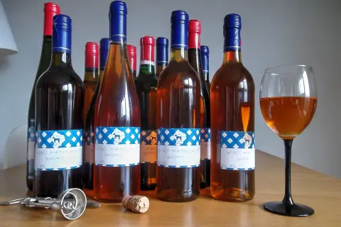 Wiele butelek domowego wina z mirabelek, gotowych do degustacji. Przepis na wino z mirabelek 10l.