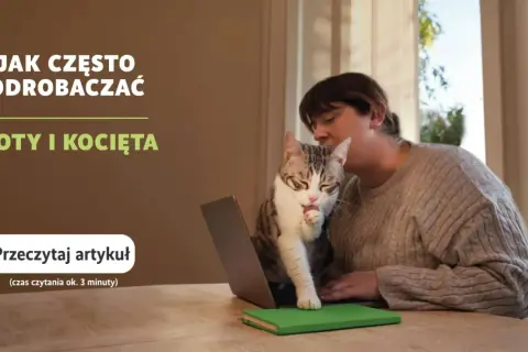 Kiedy odrobaczać koty? Kluczowe informacje dla zdrowia pupila
