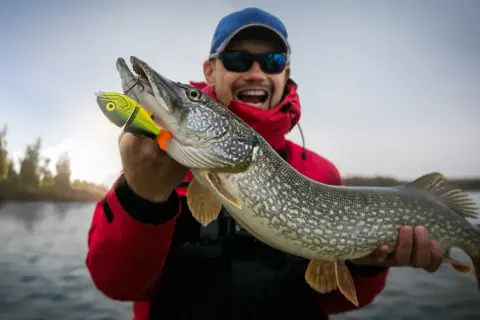Glücklicher Angler hält stolz einen 1 Meter Hecht, der an einem bunten Köder hängt.