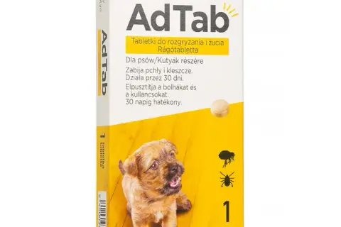 Kleszcze u psa: Tabletki, obroże, krople? Wybierz mądrze!