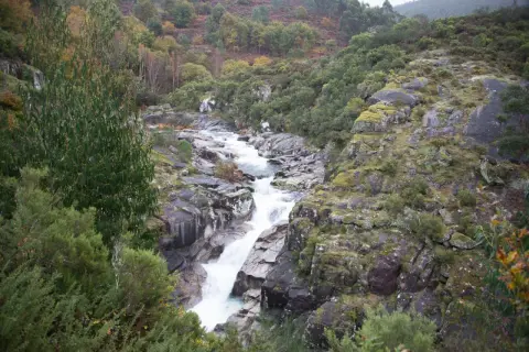 El agua desciende en cascada por la fervenza da feixa, rodeada de rocas cubiertas de musgo y vegetación frondosa.