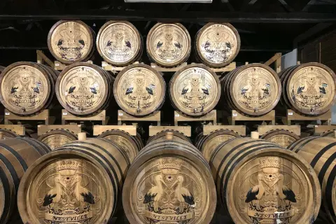Nestville whisky gdzie kupić - najlepsze miejsca i oferty na rynku